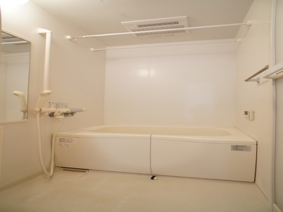 Bath. With add-fired & bathroom dryer