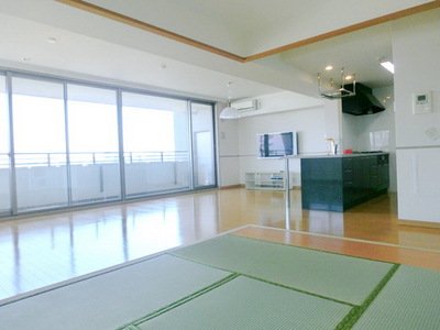 Living and room. There tatami space