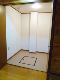 Other. Large walk-in closet on the first floor