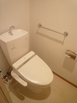 Toilet. Washlet "