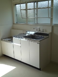 Kitchen. Sink new