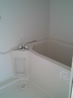 Bath. Also new bathtub