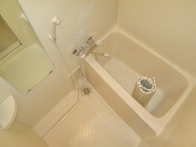 Bath. Spacious bathroom