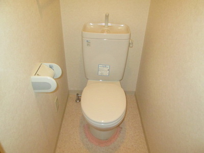 Toilet. Toilet