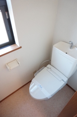 Toilet. With hot water cleaning function