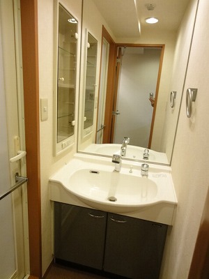 Washroom. Wash basin equipped independent!