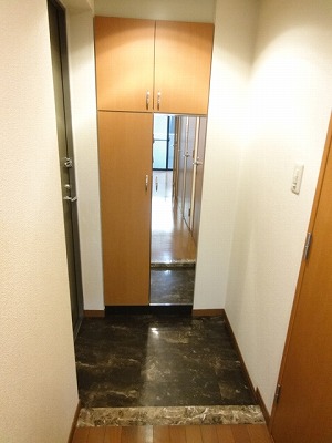 Entrance. There is a full-length mirror on the front door!