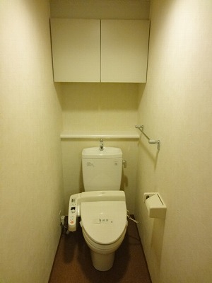 Toilet. Shower toilet & top with storage!