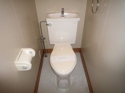 Toilet. Toilet