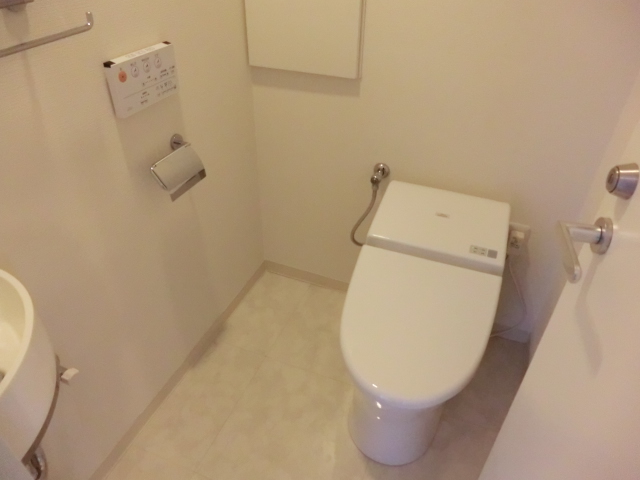 Toilet