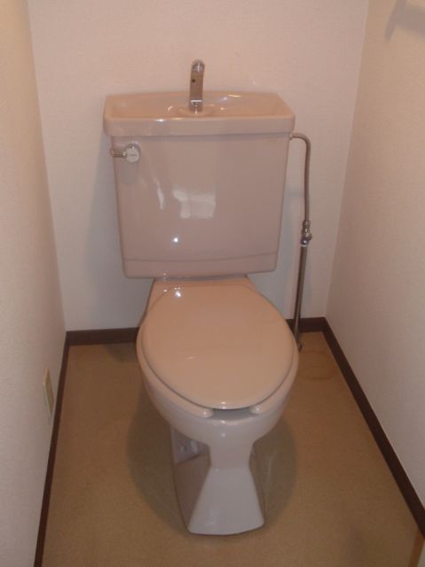 Toilet. Toilet with cleanliness