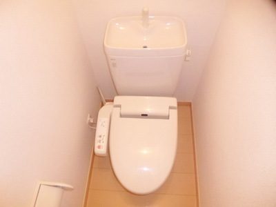 Toilet. Toilet