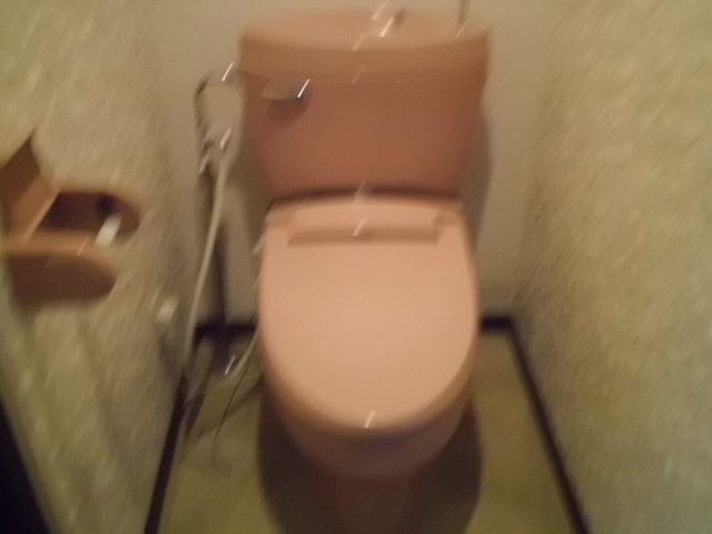 Toilet