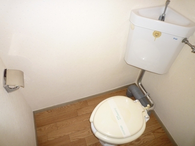 Toilet. Toilet