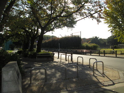 park. 321m until Wada moat park (park)