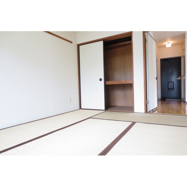 Other room space. Bright Japanese-style room