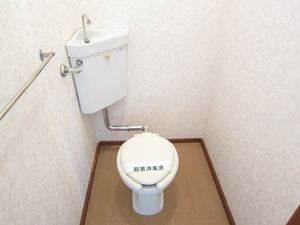 Other. A space toilet