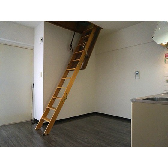 Kitchen. Loft stairs of folding