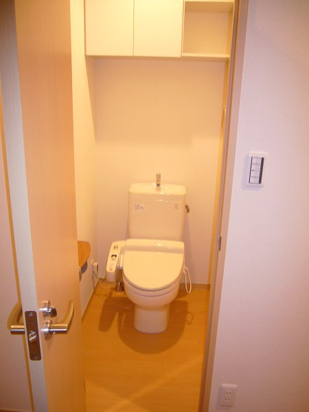 Other. Toilet