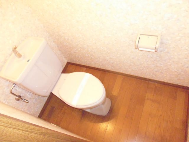 Toilet. Toilet with cleanliness