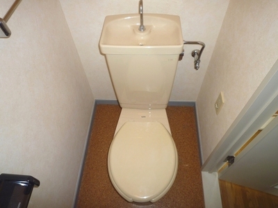 Toilet. Toilet