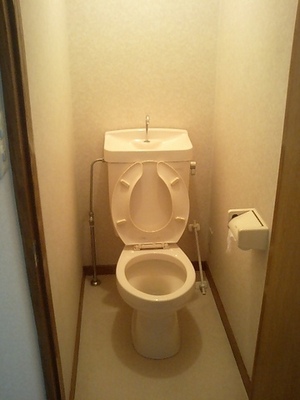 Toilet. Toilet