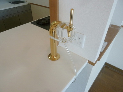 Other. Beer server