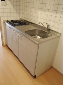 Kitchen. Gas stove 2-neck with a kitchen