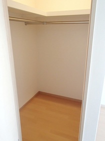 Other. Storage capacity abundant walk-in closet