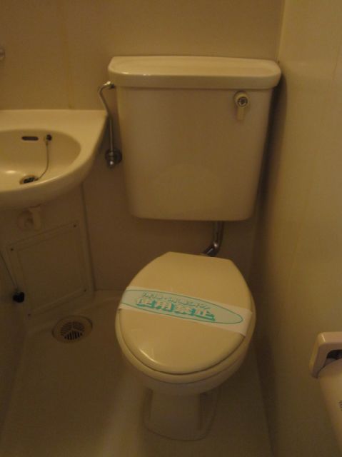 Toilet. Clean toilet