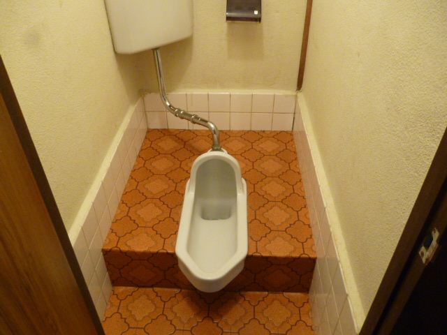 Toilet. Japanese-style toilet