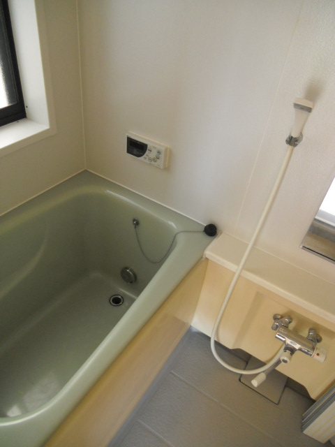 Bath. Bathroom with window