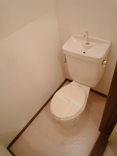 Other.  ☆ toilet ☆