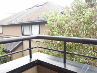 Balcony. Veranda