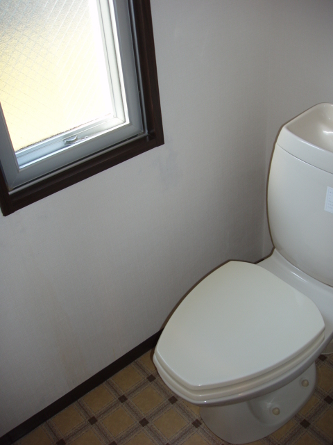 Toilet. If there is a window you will insert the light