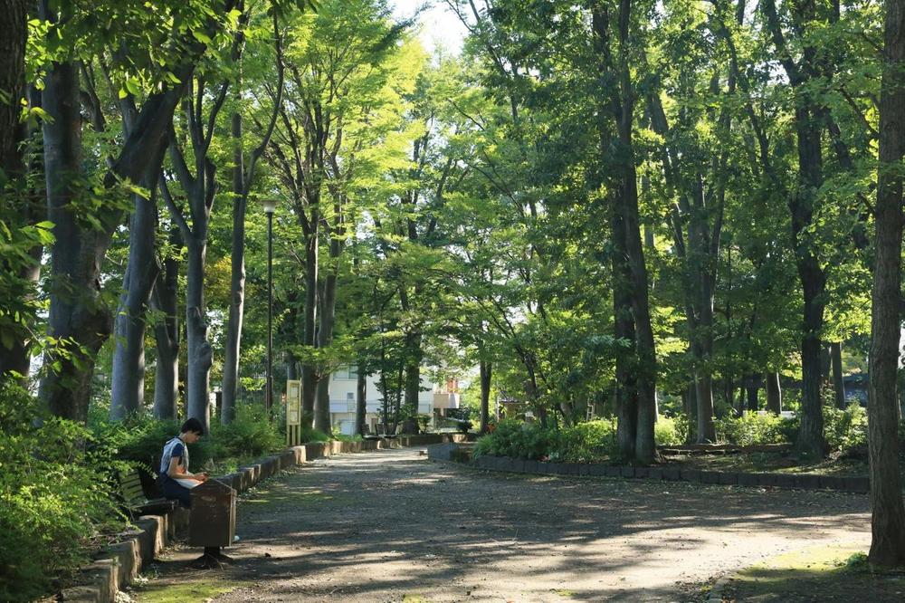 park. There is Matsutani park in front of the eyes across the 10m road to Matsutani park. Lush fresh green in spring ・ In the fall, is an environment that can feel the transition of autumn leaves and the four seasons. 