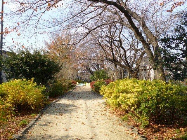 Other local. Tamagawa second park