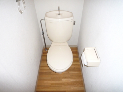 Toilet. Toilet