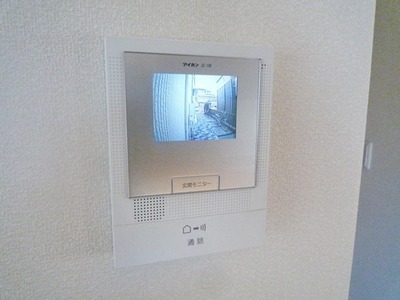 Security. TV monitor phone