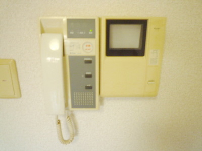 Security. Monitor with intercom