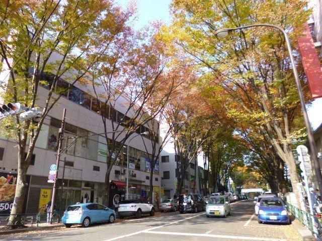 Other local. Nakasugi Street