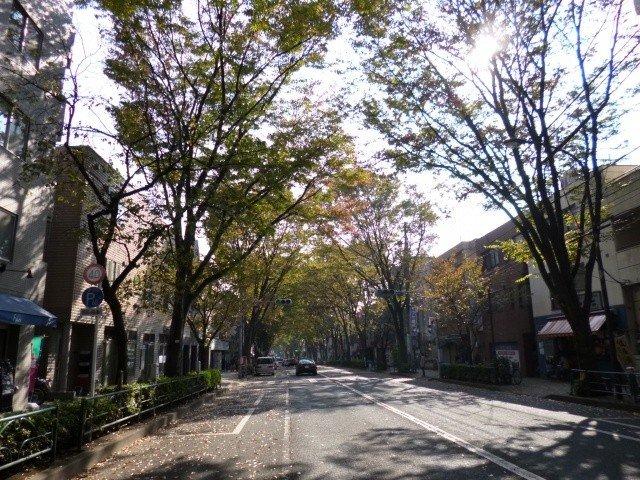 Other local. Nakasugi Street