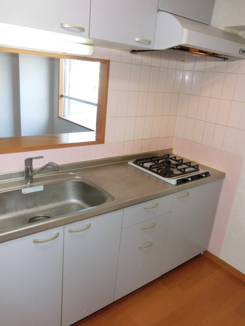 Kitchen. Gas stove with