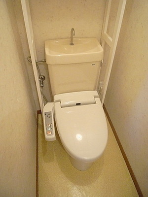 Toilet. Washlet toilet