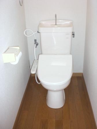 Toilet. Bidet