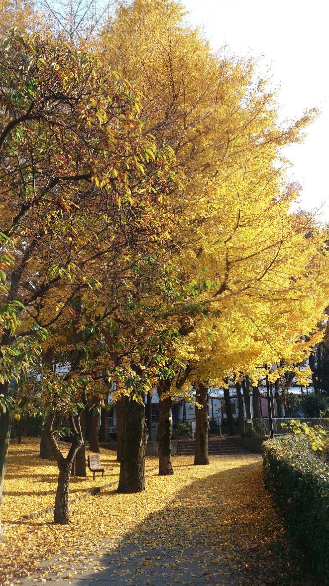 Other. Acorn green space