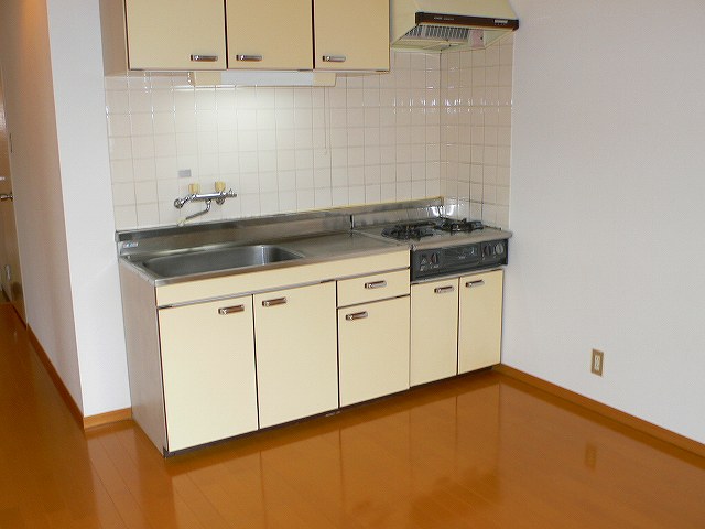 Kitchen. Gas stove installation Allowed