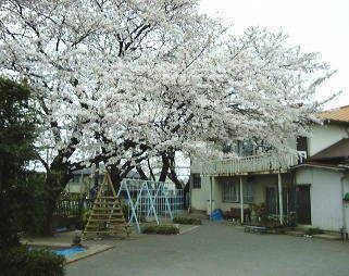 kindergarten ・ Nursery. Tokiwa months hill to kindergarten 828m