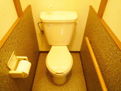 Toilet. Toilet