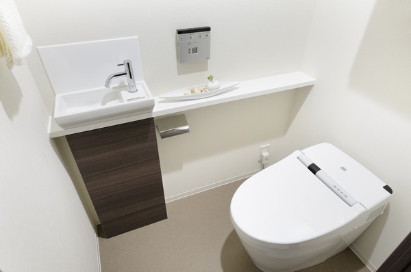 Tankless toilet, Toilet was installed hand washing counter